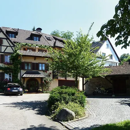 Ferienwohnung Ute Kandern Room photo